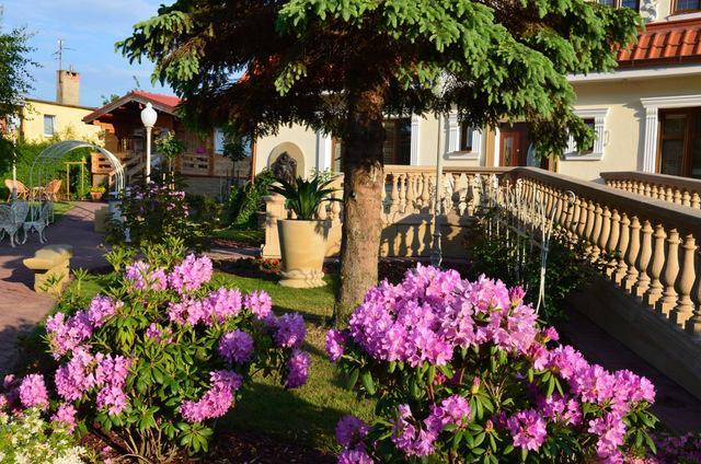 Willa U Babci Maliny Otel Sarbinowo Dış mekan fotoğraf